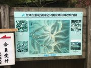 しんのすけさんの金剛山の投稿写真1