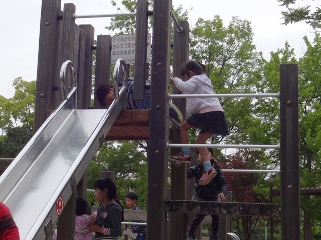 アスレチック遊具_総合レクリエーション公園