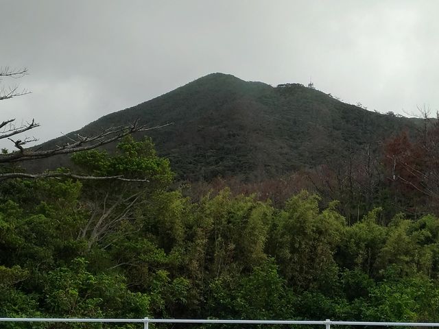 天城岳_天城岳