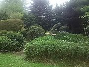 SHOZOさんの洞峰公園の投稿写真1