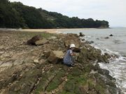 マッキーさんの寄島園地の投稿写真1