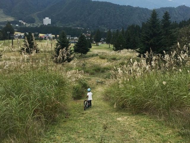 上級コース_フォレストアドベンチャー・湯沢中里