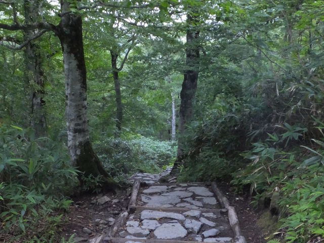 鳩待峠休憩所