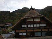 かおりさんの田麦俣の投稿写真1