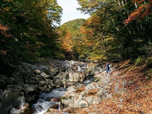 紅葉には少し早かったようです。_中津川渓谷遊歩道