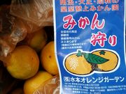 よしめさんの水本オレンジガーデンの投稿写真3