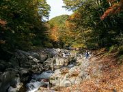 yu‐cyanさんの中津川渓谷遊歩道の投稿写真1