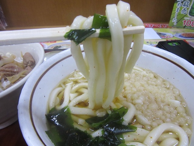 麺は美味しくなってます_山田うどん ひたちなかインター店