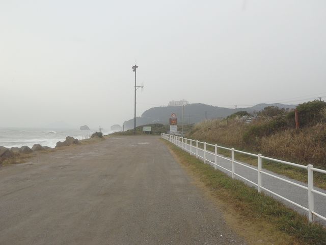 サビ猫さんの片浜十三里の投稿写真1