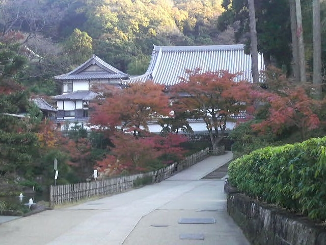 佛日庵と紅葉_佛日庵