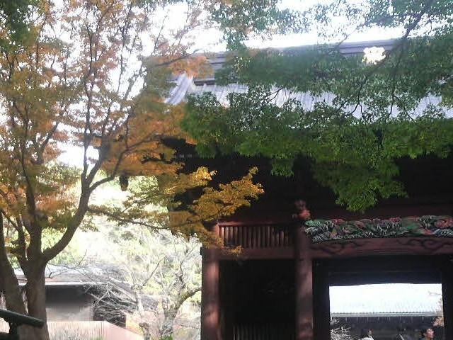 妙本寺の紅葉_妙本寺(神奈川県鎌倉市)
