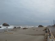 サビ猫さんの一色の磯の投稿写真1