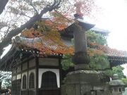 さとけんさんの本覚寺(神奈川県鎌倉市)の投稿写真2