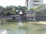 リュウさんの蛤塚の投稿写真1