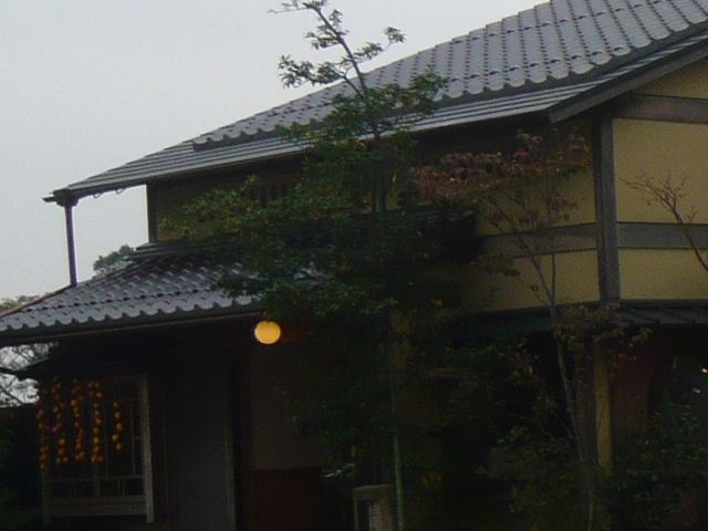 お蕎麦屋さん_そば処 田中屋