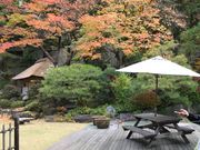 あみじょさんのほほえみの宿滝の湯の投稿写真1