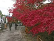 おーにんさんの鍬山神社の投稿写真1