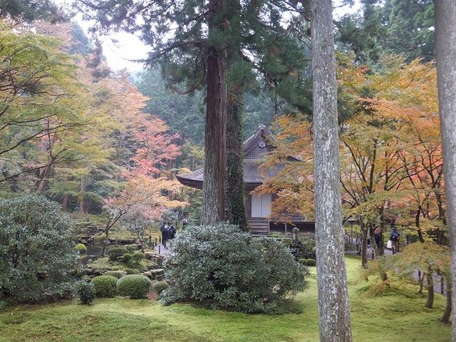 往生極楽院_京都大原三千院