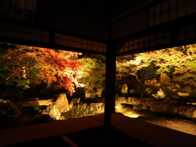 粘れば誰もいない一瞬が撮れます。素晴らしい庭園でした。_圓徳院