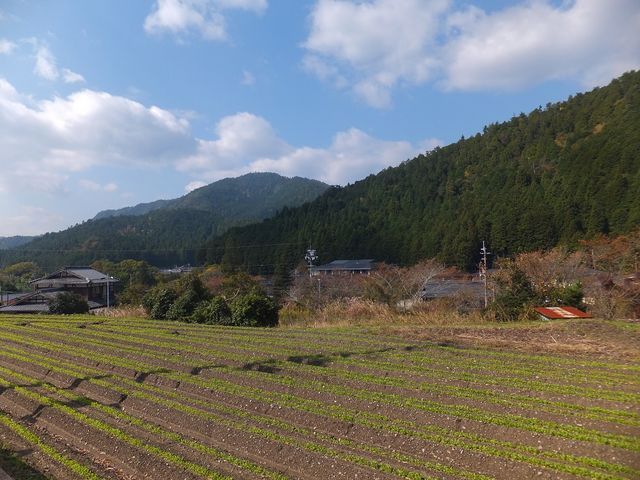 山並み_大原