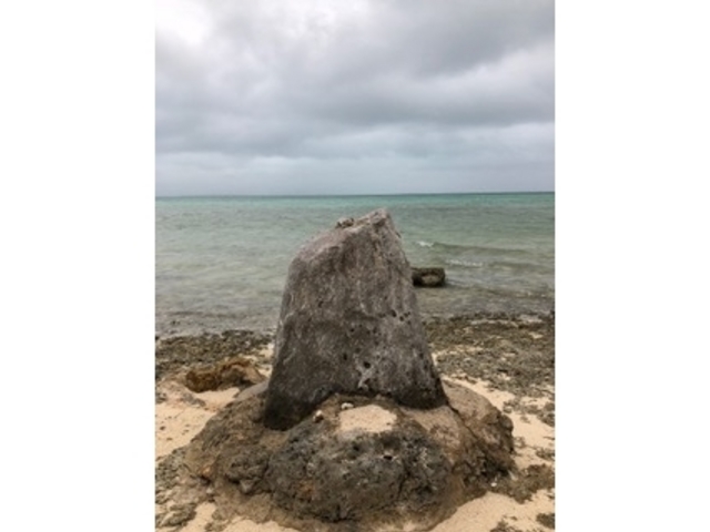 海の彼方に想いを馳せる_ニーランの石