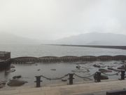 サビ猫さんの鞠山海遊パークの投稿写真1