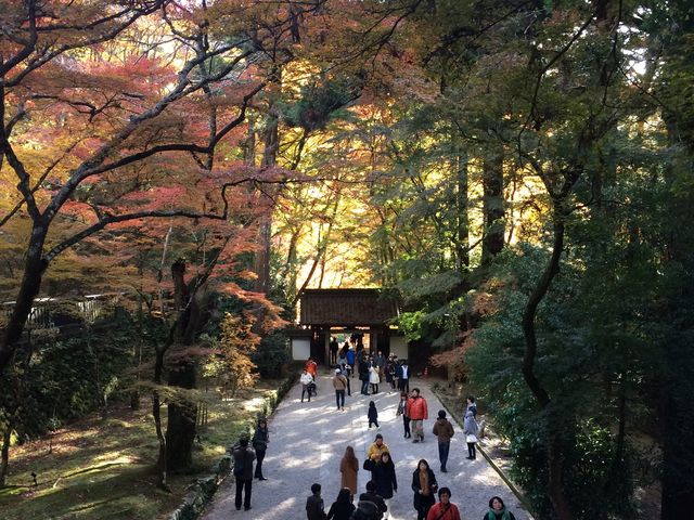 本堂入口から見る香嵐渓_香積寺