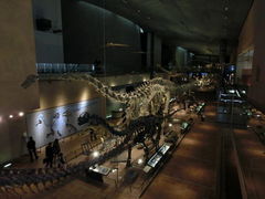 u-minさんの北九州市立いのちのたび博物館への投稿写真1