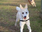 キノコさんのゆいまーる淡路の投稿写真1