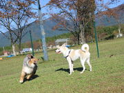 キノコさんの中津川市ふれあい牧場の投稿写真1