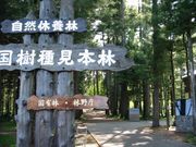 たかちゃんさんの外国樹種見本林の投稿写真1