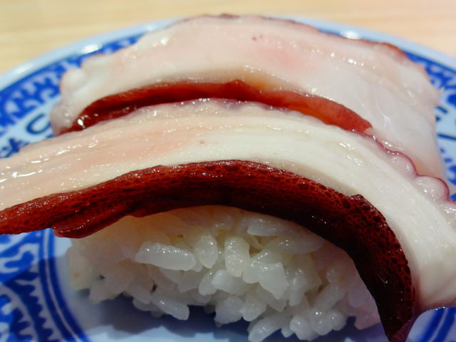 真たこ_無添くら寿司 小金井店