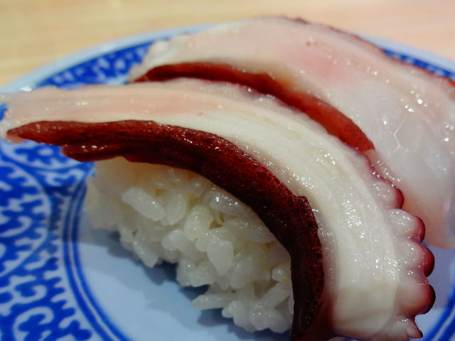 真たこ_くら寿司厚木店