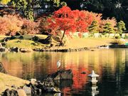 めのうさんの旧芝離宮恩賜庭園の投稿写真2