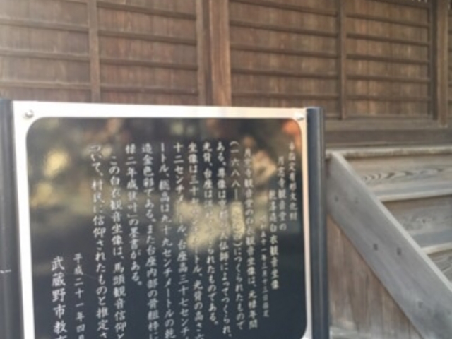 扉の奥にあるようです。_月窓寺観音堂の乾漆造白衣観音坐像