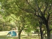 フルスピードさんの野田浜キャンプ場の投稿写真1