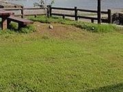 フルスピードさんの青潮の里・尾浦海水浴場の投稿写真1