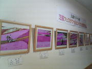 江戸家化猫さんの大森リゾート村の投稿写真5