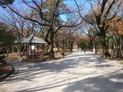 菊ちゃんさんの飛鳥山公園の投稿写真2