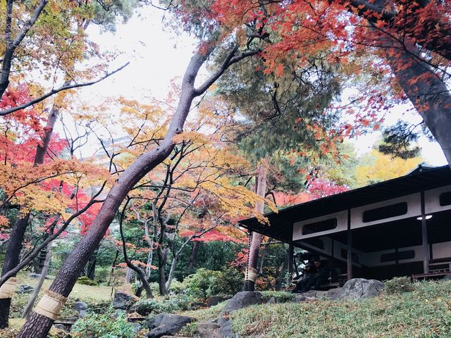 【殿ケ谷戸庭園】紅葉亭_都立殿ヶ谷戸庭園