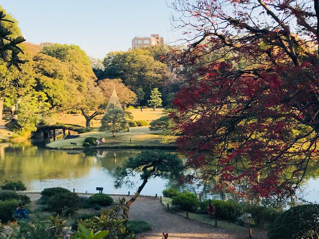 【六義園 藤代峠】_六義園 藤代峠