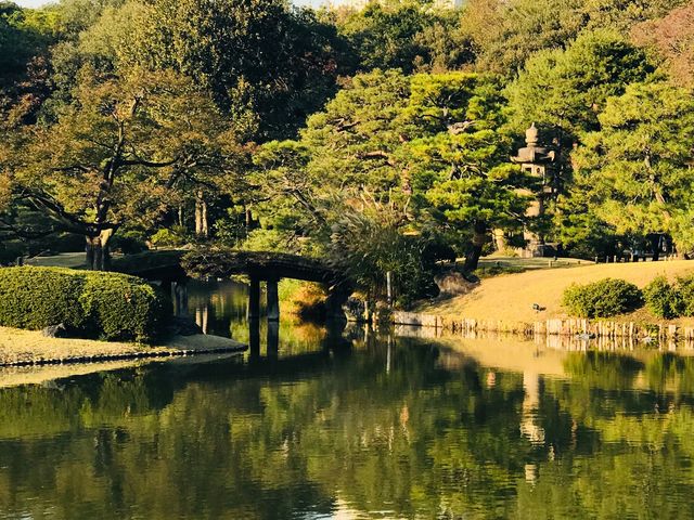 【六義園 田鶴橋】昼の顔_六義園 田鶴橋