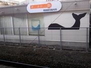 世田谷区等々力の住人さんの昭和公園の投稿写真1