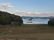 sklfhさんの弁天島岩脈の投稿写真1