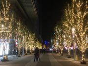 カトーさんのJRゲートタワーの投稿写真2