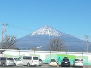 サビ猫さんの道の駅 富士の投稿写真1