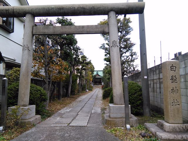 鳥居から参道_白鬚神社