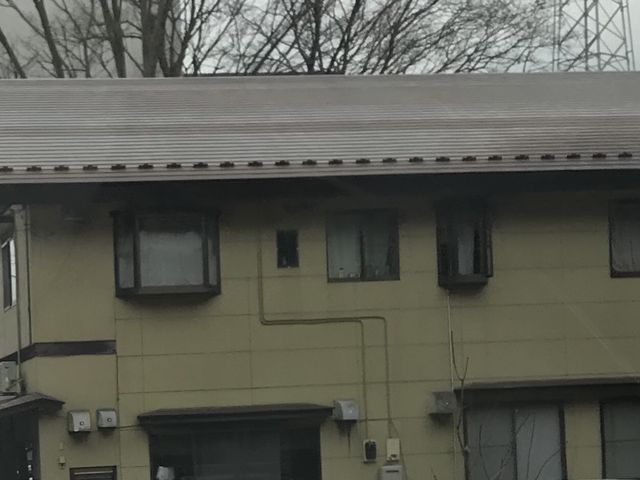 写真_そば処 扶桑