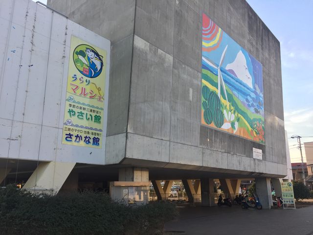 三崎港にあるお土産や食事のできるところ_三崎港