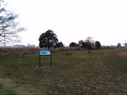 くまらさんの葛飾あらかわ水辺公園の投稿写真1